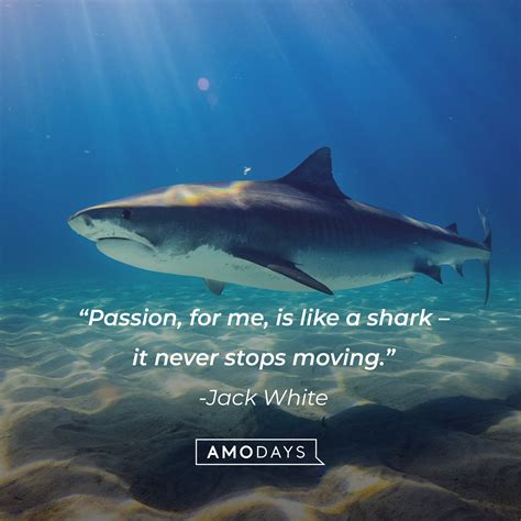 GIKRX Quote .